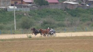 РУССКАЯ ТРОЙКА-Емельяново 15.08.15 (Лошади-Horse–Animal-racing-конь-смотреть-онлайн-скачки)