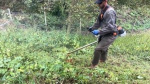 Stihl Fs 511-C with durocut 40-4 trimmer head cutting big grass. (Motocoasa Stihl cu fir de 4 mm .)