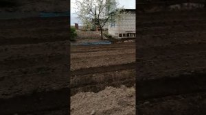 Мотоблок угра режим борозды под посадку картофеля
