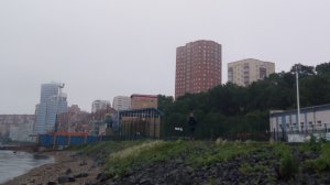 Пляж ДКМ Владивосток утром, июль 2019 Все изменения сохранены.