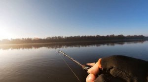 Рыбалка на Оке! Береговой Джиг!  Graphiteleader Finezza Prototype