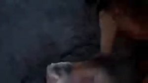 Смерть Назенин Султан