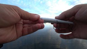 ЖОР ЩУКИ на вечерней зорьке. С такой рыбалки уезжать не хочется! Рыбалка на спиннинг осенью