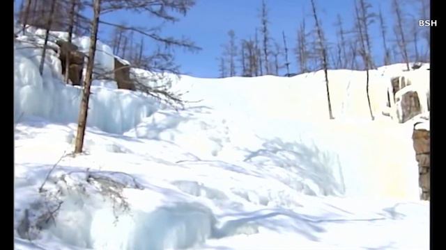 ЕЛЕНА НЕКЛЮДОВА ВЕРОНИКА АНДРЕЕВА - ЛЕСНОЙ ОЛЕНЬ BSH смотреть онлайн