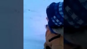 Песня "Лес дремучий снегами покрыт"