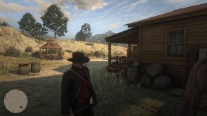 Red Dead Redemption 2 how to save cheats