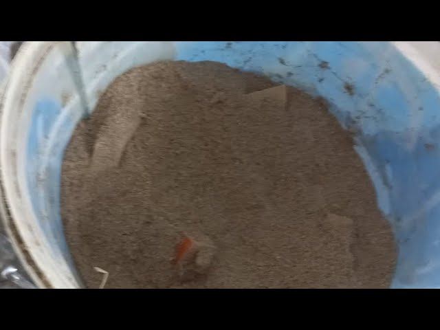 Аппетит коров! Поведение коров,если у них всё хорошо )