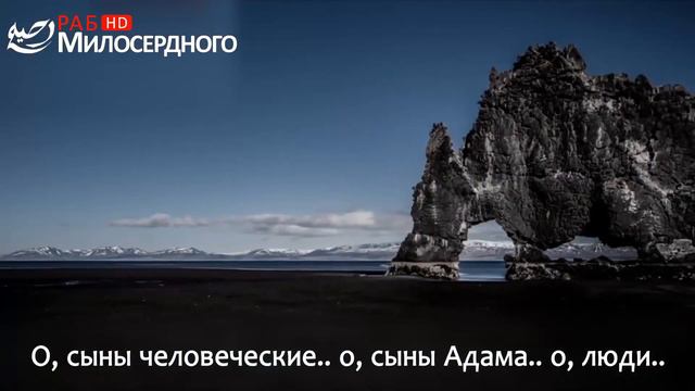 Слезы исламской уммы ᴴᴰ