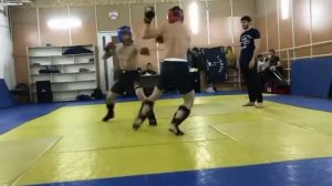 Профессиональное боевое самбо?
