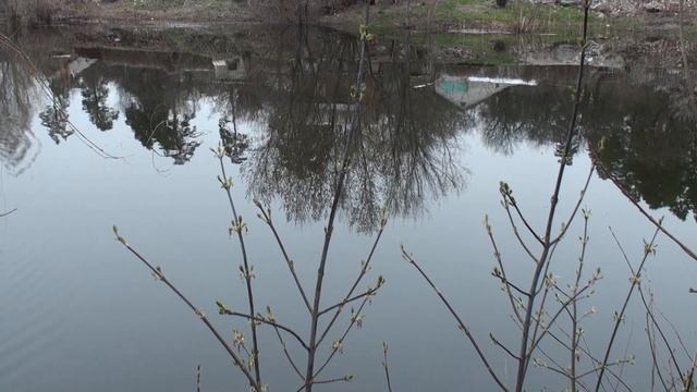 Самоизоляция на даче / Звуки природы / Дача VS COVID-19 смотреть онлайн