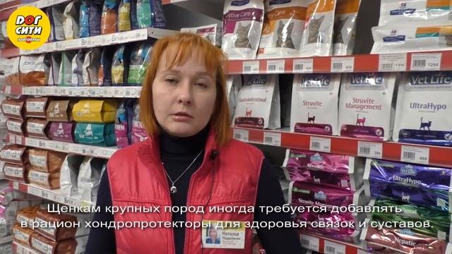 Как кормить щенка смотреть онлайн