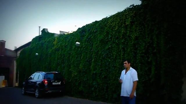 #РифатГумеров, #Ташкент, Три поэта, Памятник Алишеру Навои, смотреть онлайн