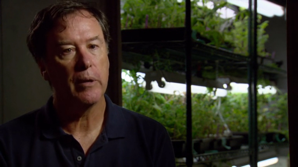 BBC: Вся правда о вкусе / The Truth About Taste [2013, Документальный ...