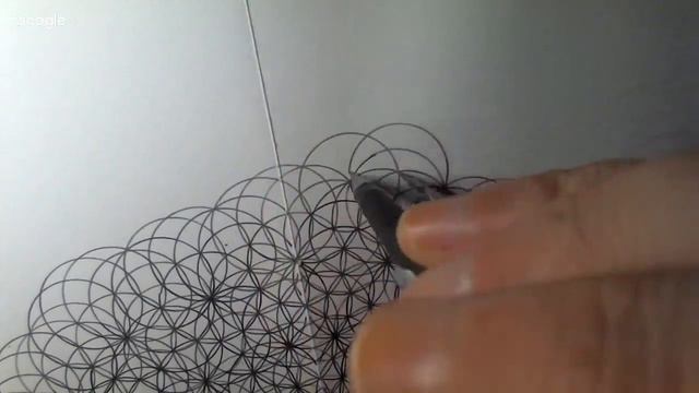 ТС "Цыркуль". Включите, смотрите и спрашывайте. Мой № 8. смотреть онлайн