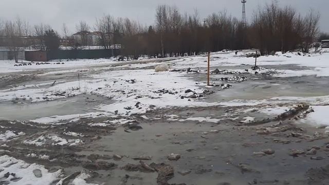 Покутушки по работе.