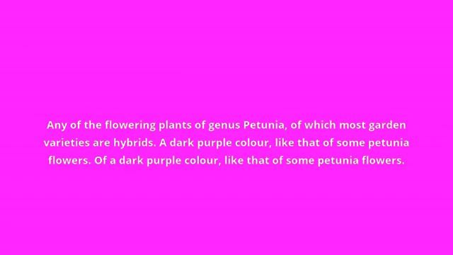 what is the meaning of petunia смотреть онлайн