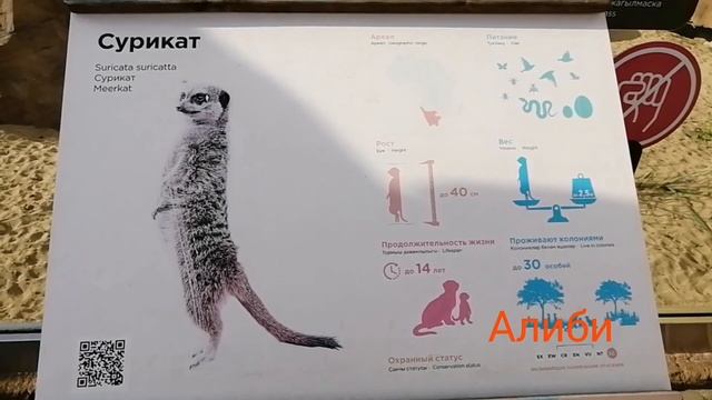 КУДА ПОЙТИ В КАЗАНИ???ЛУЧШИЙ ЗООПАРК (РЕКА ЗАМБЕЗИ) В КАЗАНИ!!!