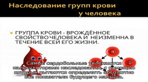 Группа крови у ребенка от родителей — таблица