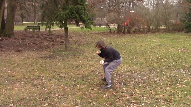 Old Regional: Mestre Bimba's Nemer Martelo смотреть онлайн