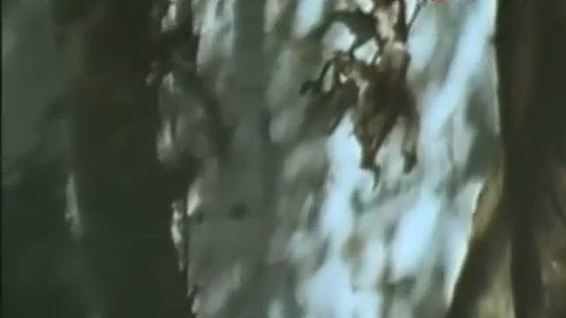 У самого синего моря (1982). Часть 3 смотреть онлайн