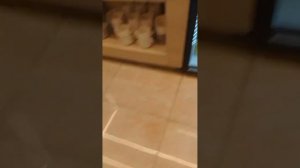 ОБЗОР БИЗНЕС ЗАЛА В АЭРОПОРТУ КРАСНОЯРСК