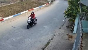 Tiandy TC-C34QN xem bang so xe