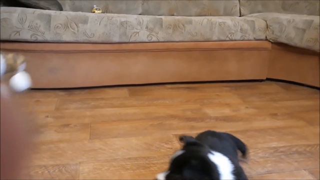 Малышу Вили 1,5 месяца смотреть онлайн