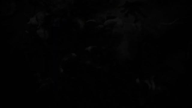 Причина злобы ► Final Fantasy XV прохождение #41 смотреть онлайн