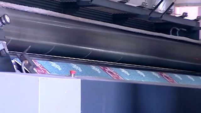 DM-0103 D-Tech Single Unit Carpet Shearing Machine ( Tek Ünite Halı Traş Makinası )