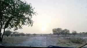 Wadi Hanifa Riyadh | Wadi Hanifa park | Summer spot in Riyadh | Fishing area in Riyadh | Riyadh Vlo