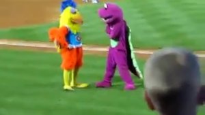 Битва плюшевых зверей