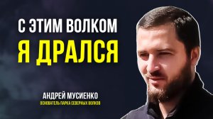 Ямалец строит под Петербургом «Парк северных волков»