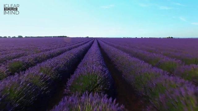 FLOWERS - Beautiful Landscape Views, Ambient Music, The Best Relax Music, Amazing Nature Scenery смотреть онлайн