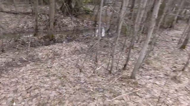 Поиск золота по старым деревням смотреть онлайн