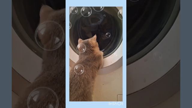 ?И ЧТО ЖЕ ЭТО ТАКОЕ ⁉️⁉️⁉️