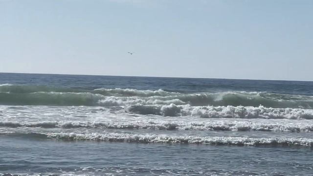 Парапланы. Пляж. Салют, посвященный открытию SeaWorld in San Diego. Быть выше смотреть онлайн