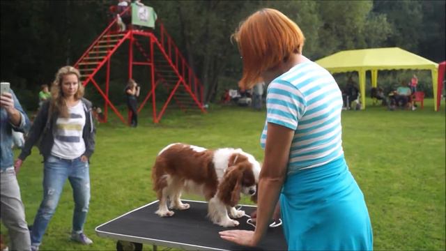 Сокольники 3 сентября #4 смотреть онлайн