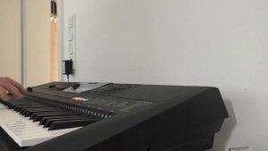 Как мне жаль. Yamaha PSR E 463