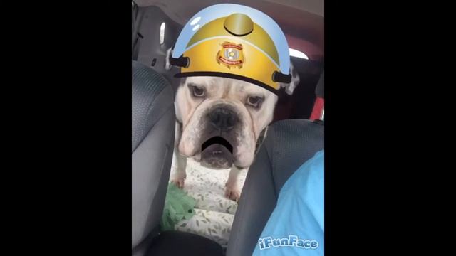 Hen Libe n Magik Windo смотреть онлайн