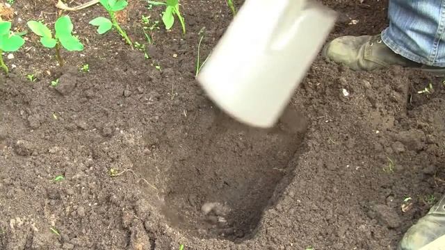 Fiskars Ergo смотреть онлайн