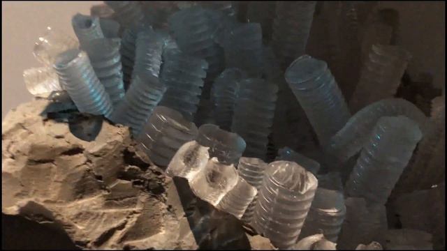 Необычный интригующий проект в выставочном зале "Манеж" смотреть онлайн