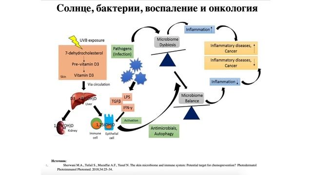 Врач-радиолог: К чему приводит недостаток солнца смотреть онлайн