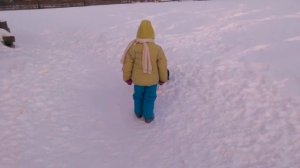 Русская европейская лайка играет с ребенком
