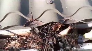 Водосточная система и ее обслуживание. Чистка водосточной системы