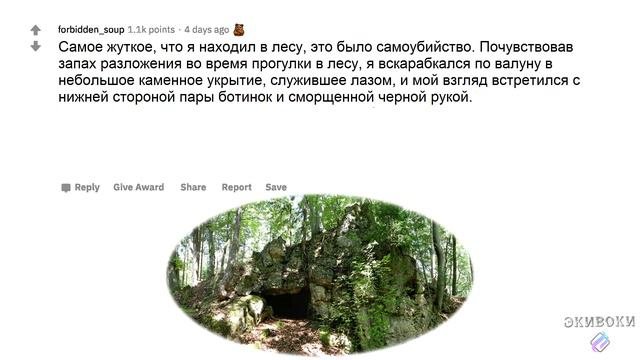 #реддит #апвоут #истории ЧТО САМОЕ ЖУТКОЕ В ЛЕСУ?