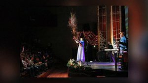 Божья коровка - Деревья