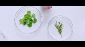 Косметика-ARTISTRY---История-основания-бренда.mp4