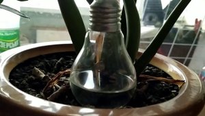 Как нам врут самодельные барометры из лампочек...