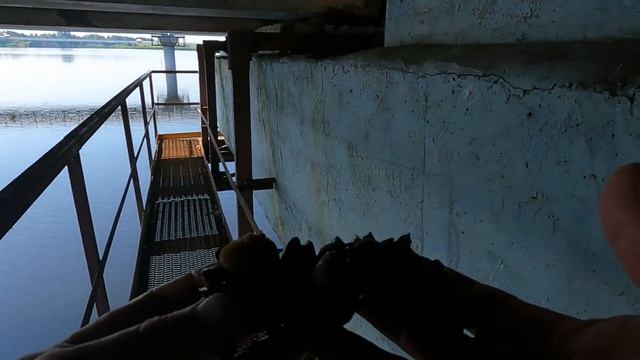 РЫБАЛКА ПОД МОСТОМ. Ловим рыбу на экраны. смотреть онлайн