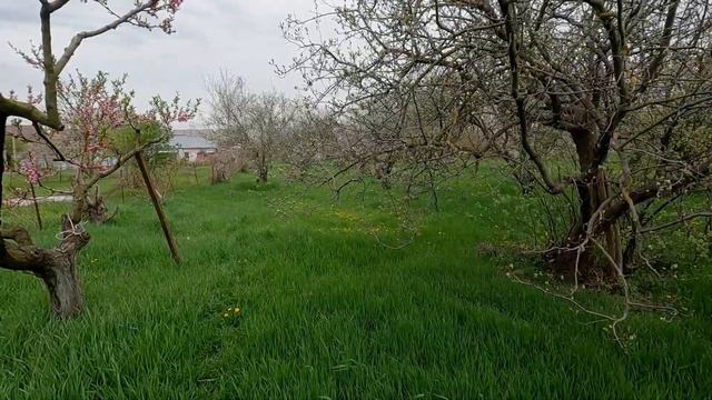 Участок в Анапской под постройку своего коттеджного поселка #анапа #участок #участокуморя